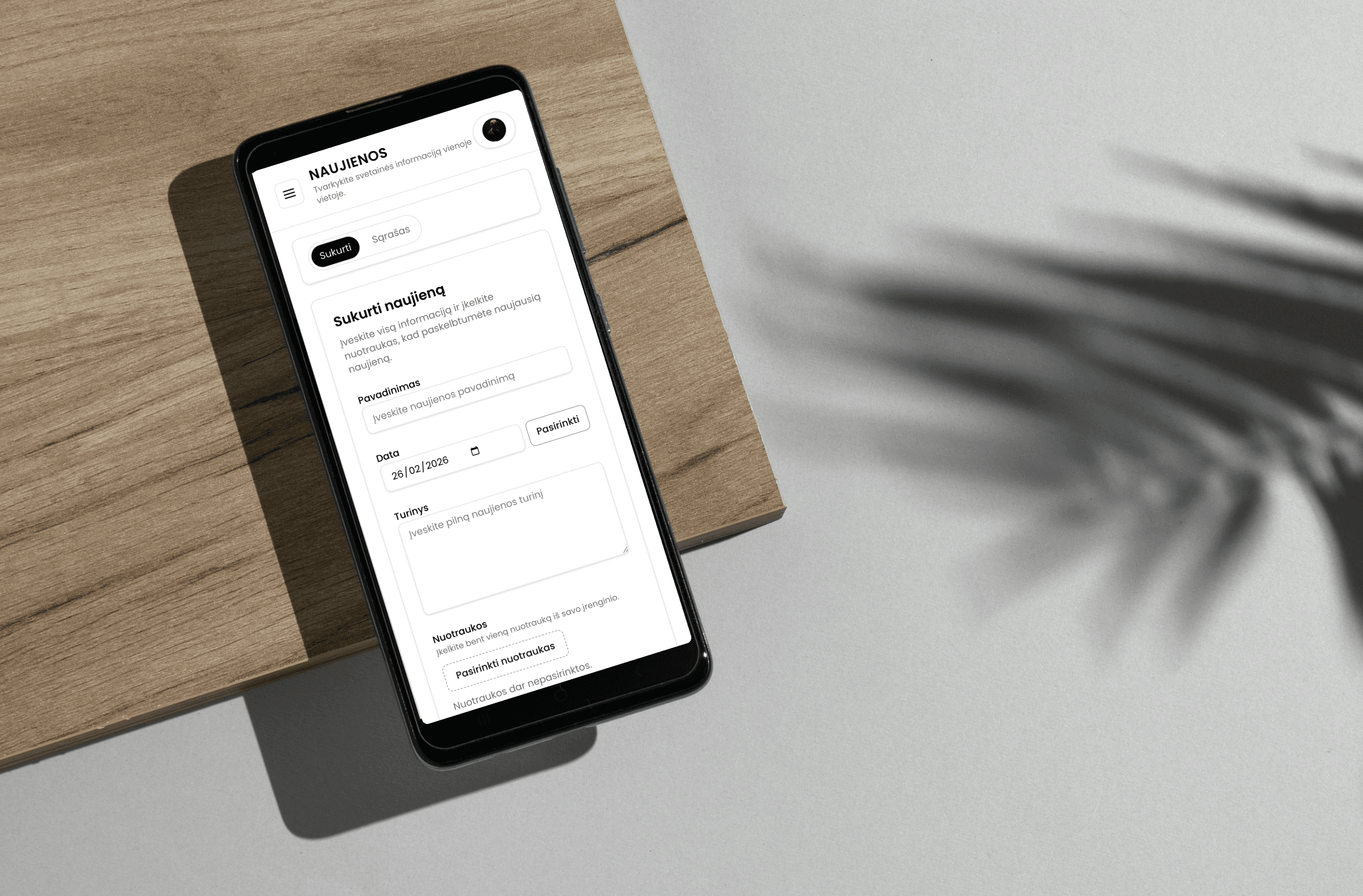 Bebenciukai projekto vaizdas 2